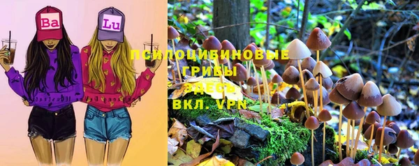 соль ск Абдулино