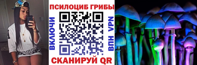 наркотики  KRAKEN онион  Псилоцибиновые грибы мицелий  Старый Крым 